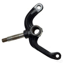 EZGO Passenger Side Spindle Fits RXV 2008+ Golf Cart